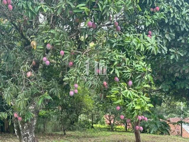Área para Venda em Jundiaí - 4
