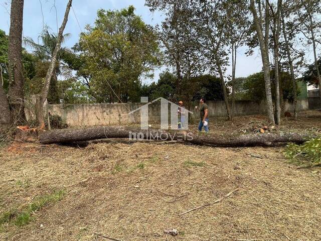 #544 - Área para Venda em Campo Limpo Paulista - SP - 1