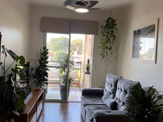 #716 - Apartamento para Venda em Jundiaí - SP - 1